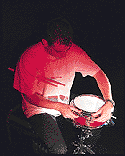 adjustment.gif (5799 bytes)