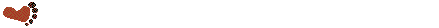barra6.gif (5088 bytes)