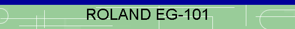 ROLAND EG-101